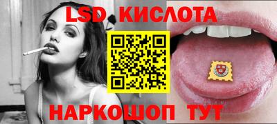 крисы Гудермес