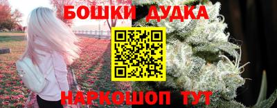 крисы Гудермес