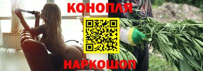 крисы Гудермес