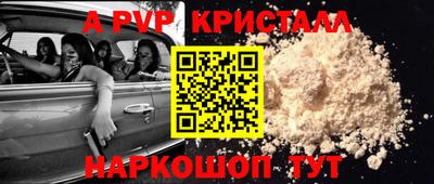 крисы Гудермес