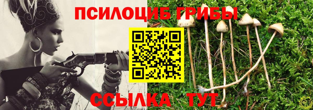Псилоцибиновые грибы Magic Shrooms Ачинск