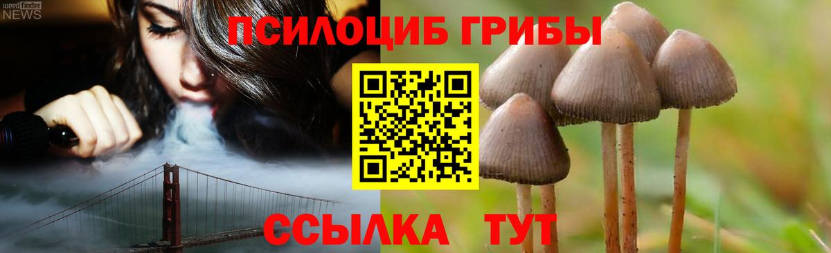 Ачинск  Псилоцибиновые грибы Psilocybine cubensis  Галлюциногенные грибы Psilocybine cubensis  сколько стоит  Вход с VPN 